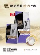 爵加新品幼貓精選上市！